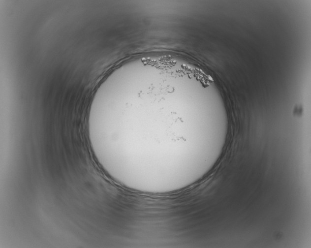 X0000113081252200910091223