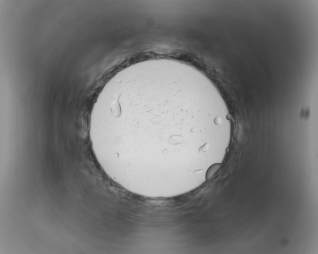 X0000113081253200910091223