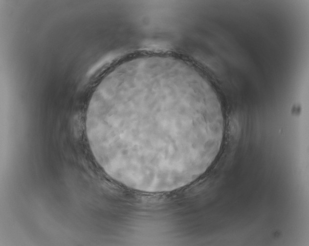 X0000113081254200910091223