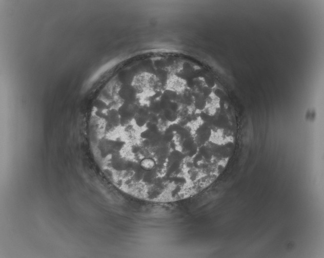 X0000113081255200910091223