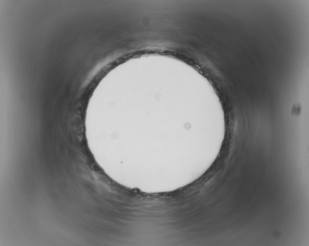X0000113081256200910091223