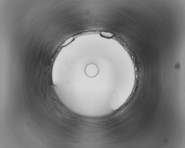 X0000113081257200910091223