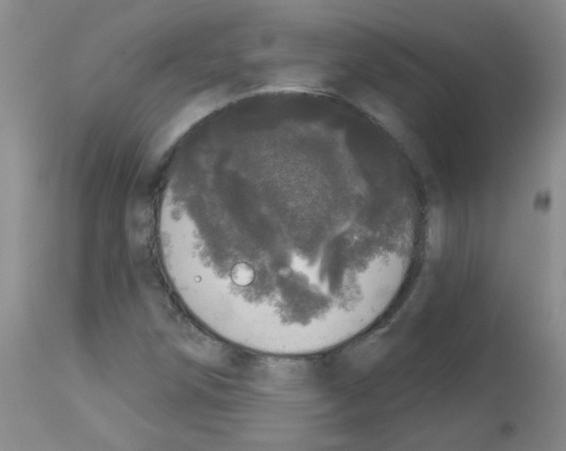 X0000113081258200910091223