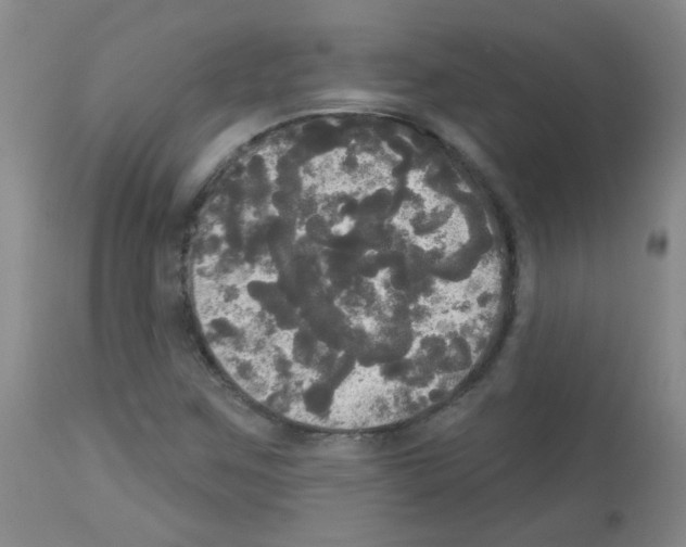 X0000113081259200910091223