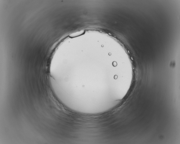 X0000113081260200910091223