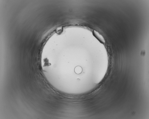 X0000113081261200910091223