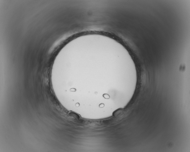X0000113081262200910091223