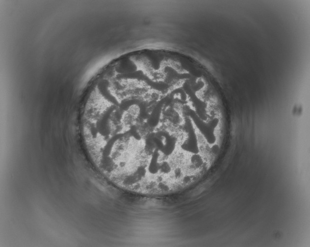 X0000113081263200910091223