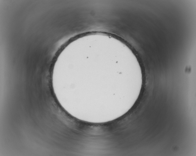 X0000113081264200910091223