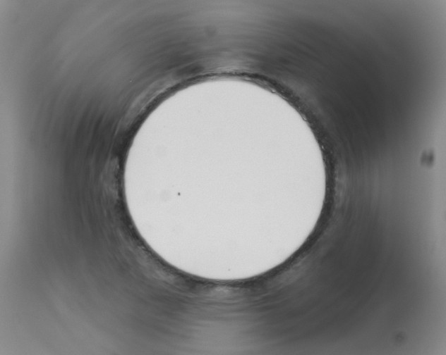 X0000113081265200910091223
