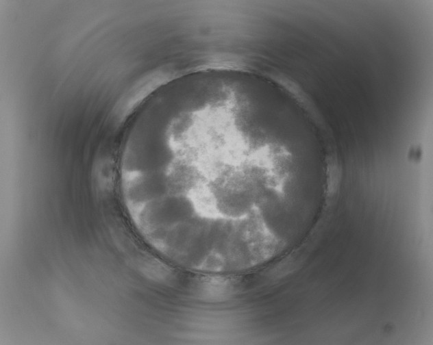 X0000113081266200910091223