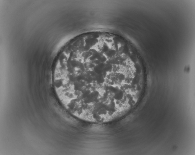 X0000113081267200910091223