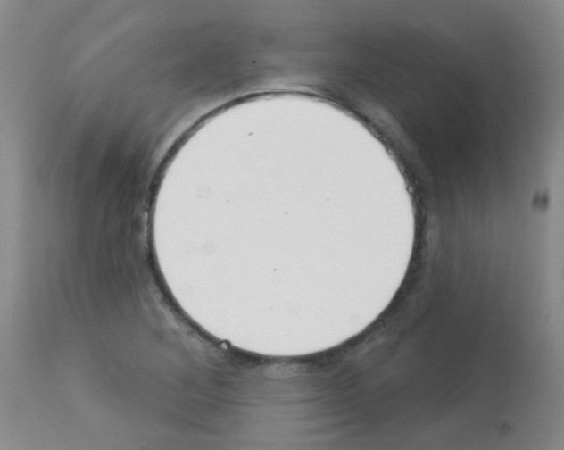 X0000113081268200910091223