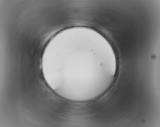 X0000113081269200910091223