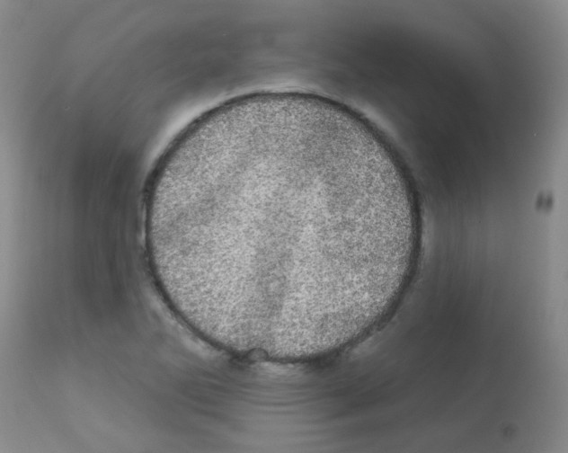 X0000113081270200910091223