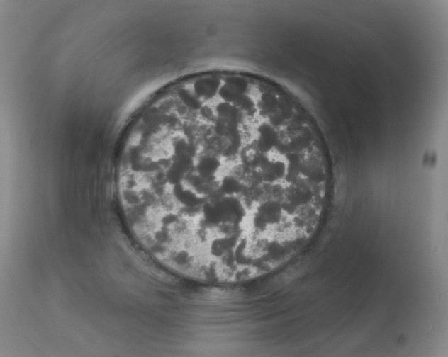 X0000113081271200910091223