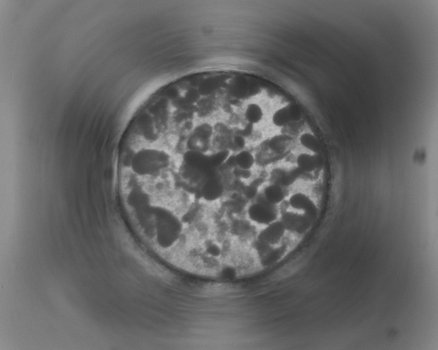 X0000113081275200910091223