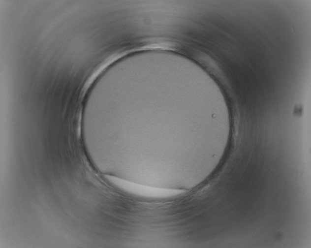 X0000113081276200910091223