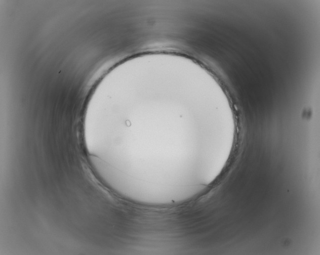 X0000113081277200910091223