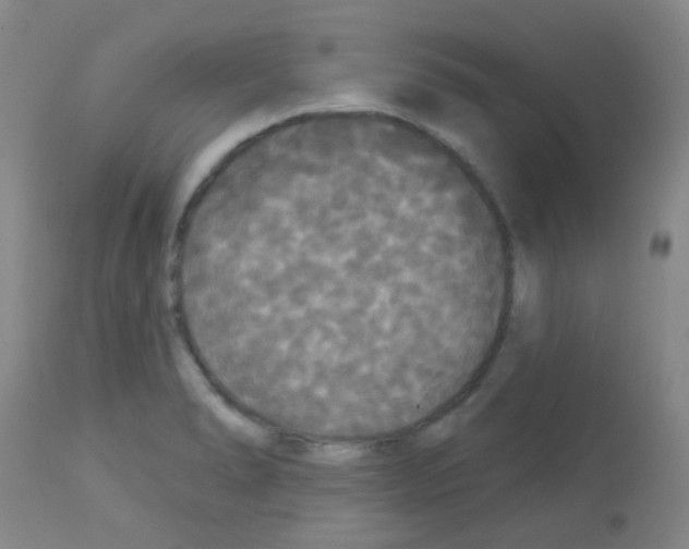 X0000113081278200910091223