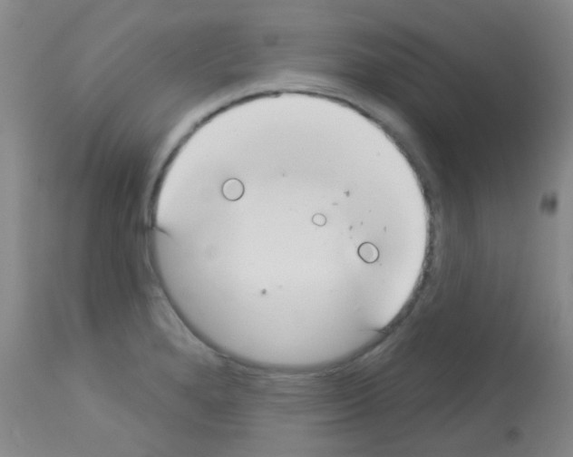 X0000113081280200910091223