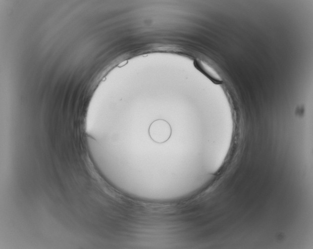 X0000113081281200910091223