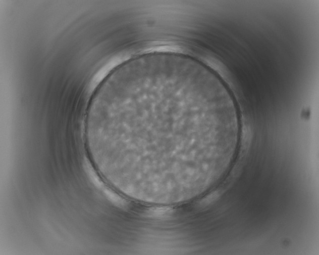 X0000113081282200910091223