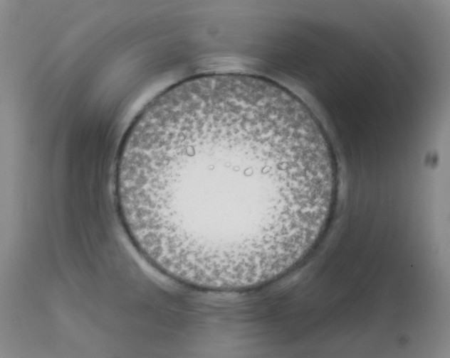 X0000113081285200910091223