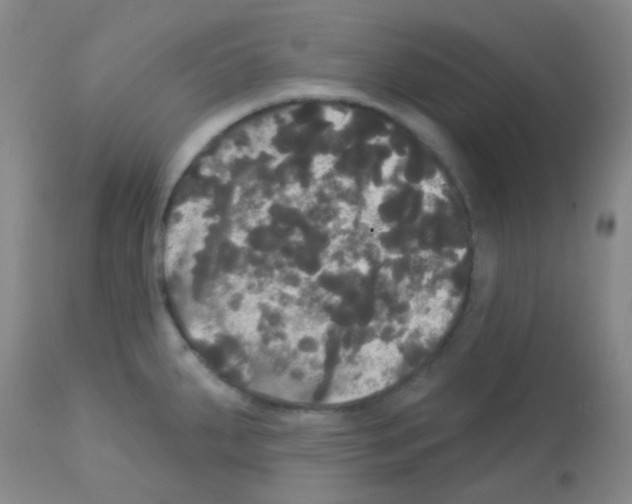X0000113081287200910091222