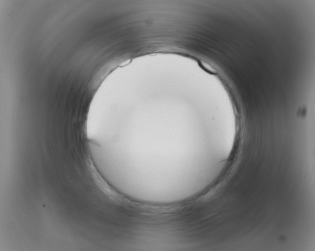 X0000113081289200910091222
