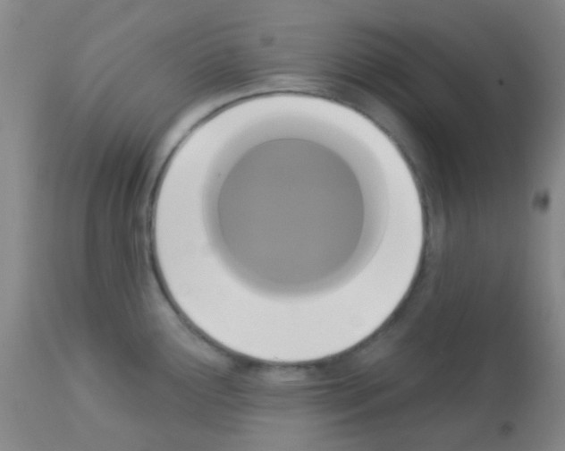 X0000113081291200910091222