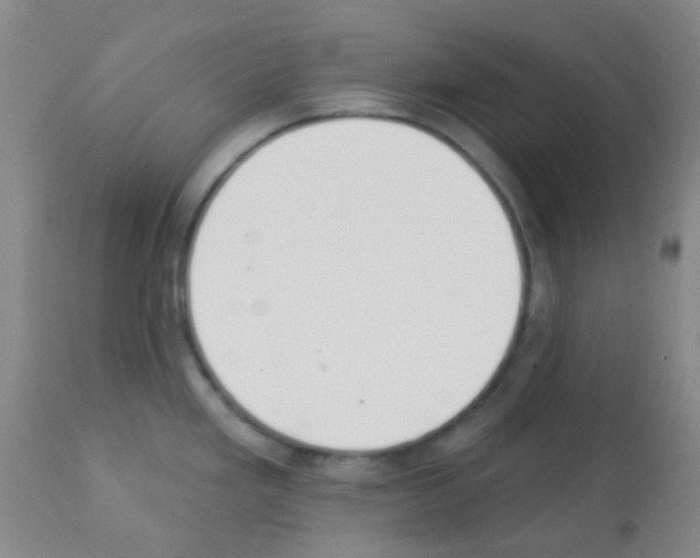 X0000113081293200910091222