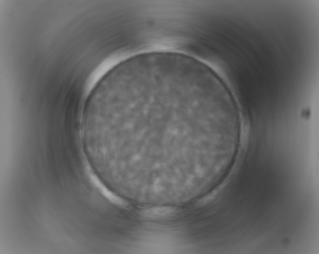 X0000113081294200910091222