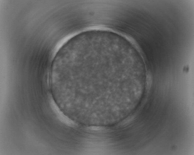 X0000113081295200910091222