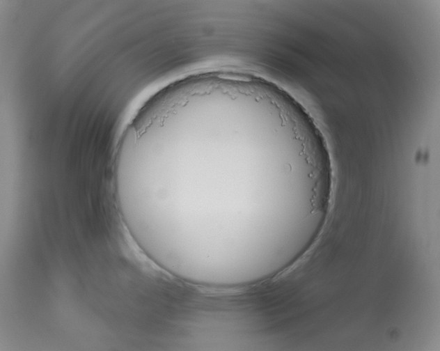 X0000113081296200910091222