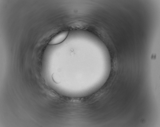 X0000113081297200910091222