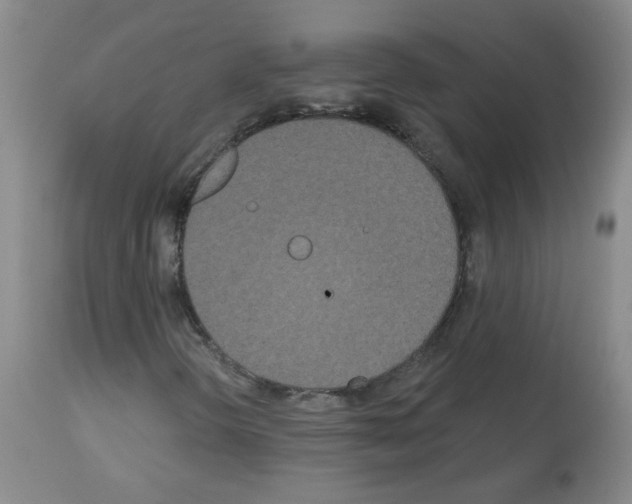 X0000113081298200910091222