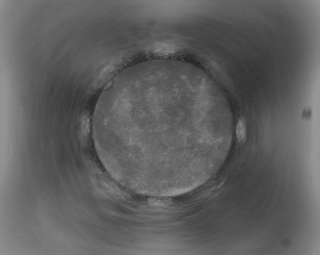 X0000113081299200910091222
