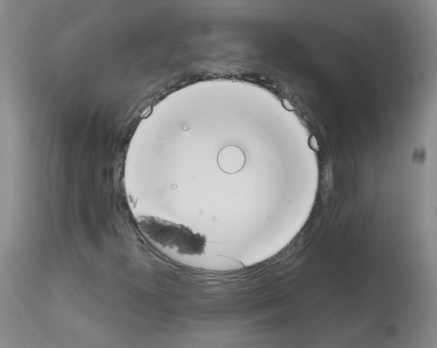 X0000113081300200910091222