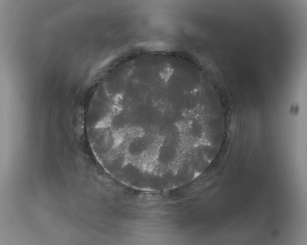 X0000113081301200910091222