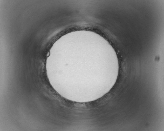 X0000113081302200910091222