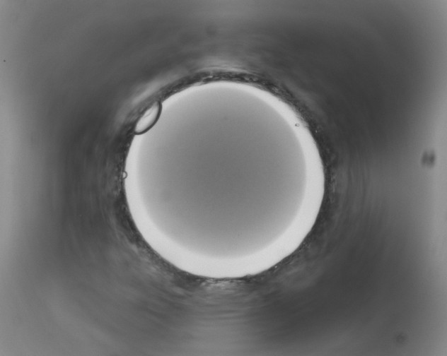 X0000113081303200910091222