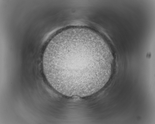 X0000113081304200910091222