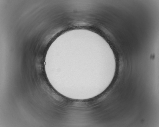 X0000113081305200910091222