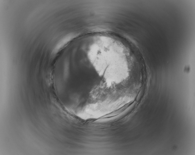 X0000113081306200910091222