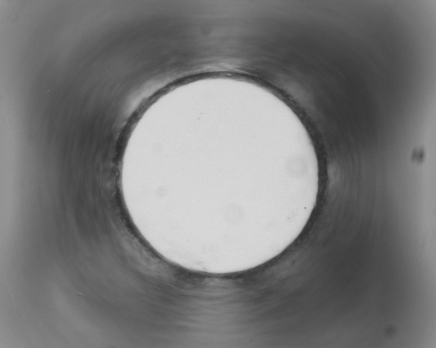 X0000113081308200910091222
