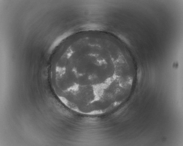 X0000113081309200910091222