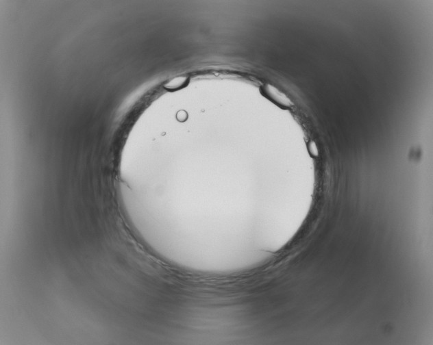 X0000113081310200910091222