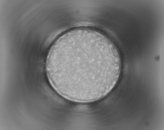 X0000113081313200910091222