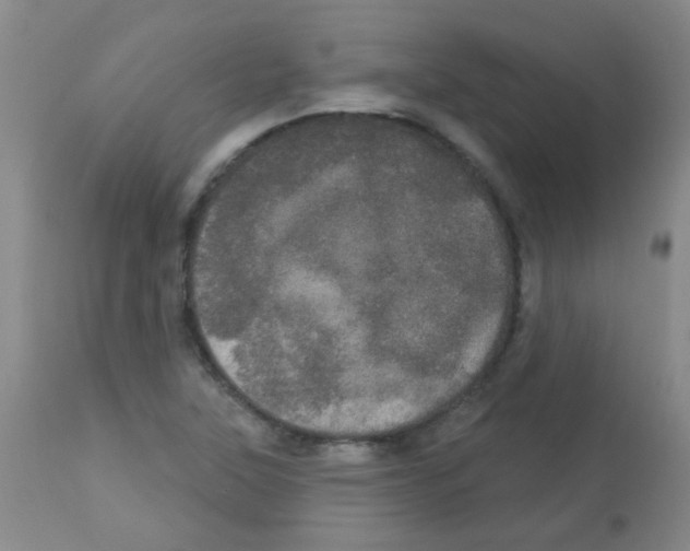 X0000113081315200910091222